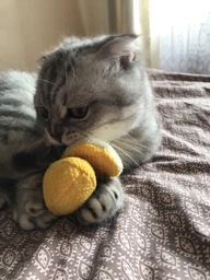 Іграшка для котів Petstages Банан 12 см фото від покупців 13