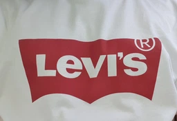 Футболка бавовняна чоловіча Levi's (052176383593) Graphic Setin Neck M синя фото від покупців 2