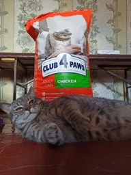 Корм сухий Club 4 Paws для котів з куркою 300 г (4820083909795) фото від покупців 1