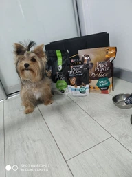 Сухий корм PRO PLAN Small & Mini Puppy Healthy Start для цуценят дрібних порід з куркою 3 кг
