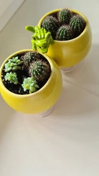 Керамический горшок для суккулентов Mini Plant маленького размера 6,2х6,3см Круг Красный фото от покупателей 6