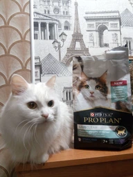 Сухой корм Purina Pro Plan LiveClear для стерилизованных кошек старше 7 лет, с индейкой 1.4 кг (7613287232731)