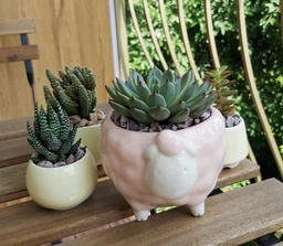 Керамічне кашпо для рослин Mini Plant Овечка тваринка м’ятна, розмір 7,5 х 8,5см фото від покупців 3