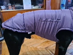 Пуховик Noble Pet Bobby Navy M (B4118/M) фото от покупателей 2