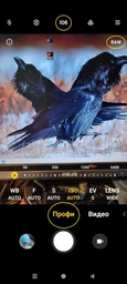 Мобильный телефон Xiaomi Redmi Note 10 Pro 6/128GB Glacier Blue (765961) фото от покупателей 1