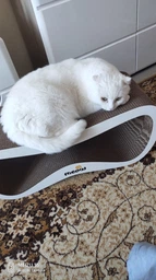 Когтеточка картонная Say Meow Grace, 67 см х 27 см х 24 см