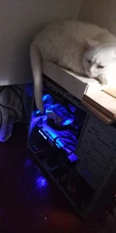 Кулер DeepCool Gammaxx 300 B фото от покупателей 18