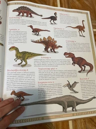 Атлас зниклих тварин Книга про доісторичних істот для дітей Пізнавальна енциклопедія - Ніколь Кухарська фото від покупців 8