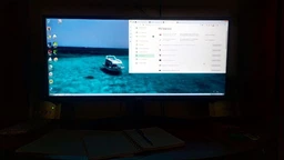 Монитор 29" LG UltraWide 29WL500-B