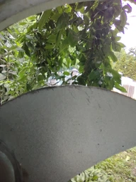 Сучкорез My Garden Tradition плоскостной 780мм, алюминиевые ручки, макс 35мм
