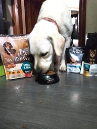Кормова добавка Purina Pro plan Veterinary Diets FortiFlora з пробіотиком для собак для підтримки балансу мікрофлори та здоров`я кишечника 1 г, 30 шт фото від покупців 7