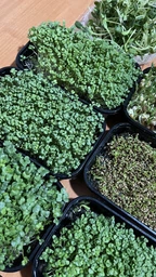 Набір для вирощування мікрозелені Panda microgreen на 7 врожаїв (7 видів культур) фото от покупателей 5