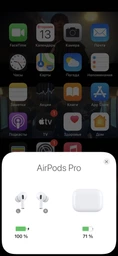 Наушники Apple AirPods Pro (MWP22) фото от покупателей 13