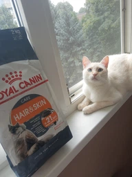 Сухой корм для кошек Royal Canin HAIR&SKIN CARE поддержание здоровья кожи и шерсти 400 г (3182550721721) фото от покупателей 6