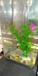 Маленький самоочищающийся аквариум My Fun Fish наноаквариум для рыб | аквариумный набор (комплект) (1007703-Other-1) фото от покупателей 2