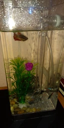 Маленький самоочищающийся аквариум My Fun Fish наноаквариум для рыб | аквариумный набор (комплект) (1007703-Other-1)