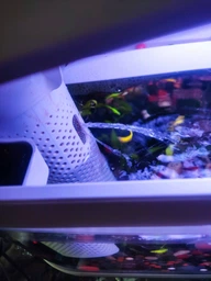 Аквариум Xiaomi Geometry Fish Tank Aquaponics Ecosystem 10 л White HF-JHYG001 (2001000011650) фото от покупателей 8