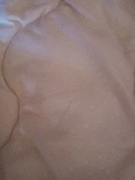 Набор антиаллергенный MirSon EcoSilk Супер Теплый №1662 Eco Light Krem (одеяло + подушки 50х70 среднии) (2200002654982) фото от покупателей 2