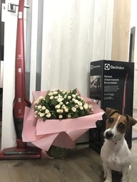 Акумуляторний пилосос ELECTROLUX EER7ANIMAL фото від покупців 7