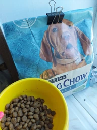 Сухий корм Dog Chow Puppy для цуценят з ягням 2.5 кг фото від покупців 8