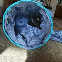 Trixie Тунель тканинний для котів,в асортименті фото от покупателей 14