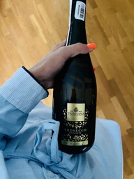 Вино игристое Trevisana Prosecco Frizzante DOC белое экстра-сухое 0.75 л 11% (8003030872724) фото от покупателей 8