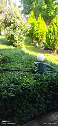 Кусторез электрический Bosch EasyHedgeCut 45 (0600847A05) фото от покупателей 19