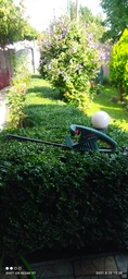 Кусторез электрический Bosch EasyHedgeCut 45 (0600847A05) фото от покупателей 18