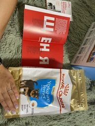 Сухой корм Royal Canin Yorkshire Terrier Puppy для щенков породы йоркширский терьер в возрасте от 2 до 10 месяцев 0,5 кг фото от покупателей 10