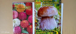 Мицелий Белый гриб Боровик 10 г (Насіння країни)