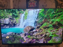 Телевизор Xiaomi Mi LED TV 4S 55" UHD 4K (L55M5-5ARU) фото от покупателей 8