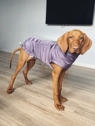 Пуховик Noble Pet Bobby Navy M (B4118/M)