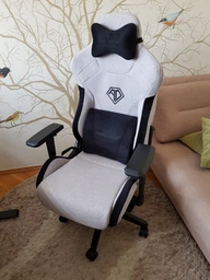 Ігрове крісло AndaSeat T-Pro 2, Black (AD12XLLA-01-B-F)