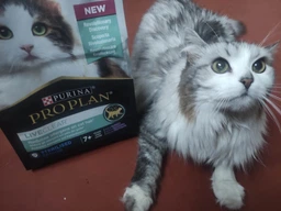 Сухой корм Purina Pro Plan LiveClear для стерилизованных кошек старше 7 лет, с индейкой 1.4 кг (7613287232731)