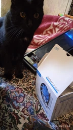Кулер DeepCool GAMMAXX 200T фото от покупателей 15