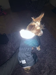 Комбінезон Collar AiryVest One для собак, розмір XS 25 Блакитний (24122)