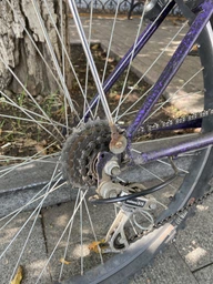 Трещотка Shimano MF-TZ500 6sp с защитой, коричневый (MF-TZ500-6-CP)