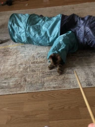 Trixie Тунель тканинний для котів,в асортименті фото от покупателей 12