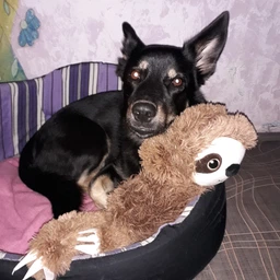 Іграшка для собак Trixie Лінивець 56 см (4011905356716) фото від покупців 2