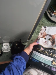 Сухой корм Purina Pro Plan LiveClear для стерилизованных кошек старше 7 лет, с индейкой 1.4 кг (7613287232731)