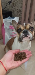 Сухой корм для щенков Brit Care Grain Free Puppy Salmon 3 кг (Беззерновой, Лосось) фото от покупателей 2