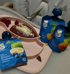 Упаковка Фруктового пюре Gerber Яблоко и манго с 6 месяцев 90 г х 16 шт (07613036345873) фото от покупателей 14