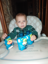 Упаковка Фруктового пюре Gerber Яблоко и манго с 6 месяцев 90 г х 16 шт (07613036345873) фото от покупателей 10