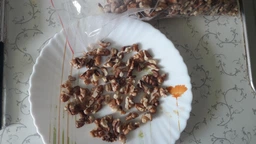 Грецкий орех Ecofood Половинки (бабочка) 1 кг фото от покупателей 12