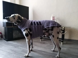Пуховик Noble Pet Bobby Navy M (B4118/M)
