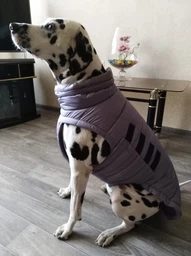 Пуховик Noble Pet Bobby Navy M (B4118/M) фото от покупателей 1
