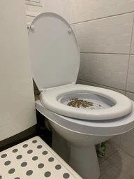 Набор для приучения кошек к унитазу CitiKitty Cat Toilet Training Kit, туалет для кошек, лоток фото от покупателей 6
