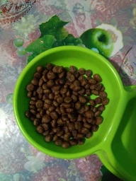 Корм сухой Brit Grain Free VetDiet Cat Struvite для котов с мочекамяной болезнью с курицей и горохом 400 г фото от покупателей 2