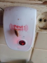 Отпугиватель насекомых и грызунов pest reject против мышей комаров мух пауков тараканов фото от покупателей 12