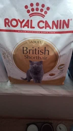 Сухой корм для кошек Royal Canin British Shorthair 400 г (Британская короткошерстная) фото от покупателей 19